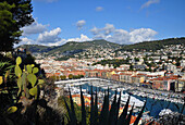 View from the Chateau onto Bassin Lympia, Nice, Cote d'Azur, South France, Europe