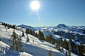 Verschneiter Berghang im Skigebiet Pengelstein im Sonnenlicht, Winter in Tirol, Österreich, Europa