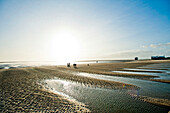 Strand von St. Peter-Ording, Nordfriesland, Deutschland