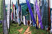 Buthanese boy  Prayer flags  Sangye Gang  Thimphu  Bhutan