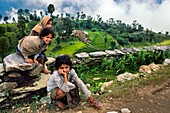 Children and houses  Rice field  Near Pokhara Himalaya  Nepal