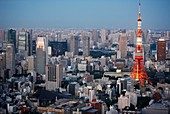 Tokyo Tower, Tokyo City View, Roppongi Hills Mori Tower, Tokyo, Japan.