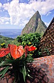 red tropical Anthurium (Anthurium andreaenum) flower at Ladera Resort overlooking one of the twin volcanic peaks of Petit Piton and Gros Piton, St. Lucia, West Indies.