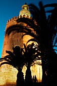 Torre del Oro ´tower of Gold´  City of Seville  Andalucia  Spain
