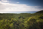 Puerto Rico, South Coast, Guanica, Guanica Biosphere Reserve.