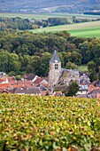 France, Marne, Champagne Ardenne, Avenay Val-d´Or, town overview