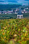 France, Marne, Champagne Ardenne, Ville Dommange, town overview with church and vineyards, dusk