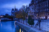 France, Paris, Cathedral Notre Dame cathedral and Ile St-Louis, dawn