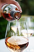 Glass of rosé wine, Bandol AOC, Var, Provence-Alpes-Côte d´Azur, France