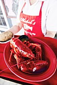 Mabel´s Lobster Claw restaurant, Kennebunkport, Maine, USA