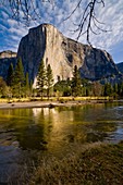 El Capitan on a Spring morning above the Merced River, Yosemite Valley, Yosemite National Park, California