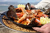 food, Majorca, Mediterranean, paella, restaurant, seafood, Spain, Spanish, typical, F57-1251770, AGEFOTOSTOCK