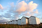 Beach Huts in Shoreham by Sea, England