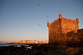 Essaouira, Marokko