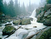 Alberta Falls in Spring Rain Rocky Mountain National Park Colorado USA