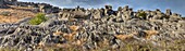 Flock hill limestone boulders eroded by rain water, Castle hill basin, Canterbury high country