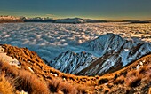Winter sunrise from tussock covered Mt Roy, above sea of cloud over Lake Wanaka, Mt Aspiring on left, Otago, New Zealand