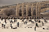 Bonspiel, national curling competition July 2010, Idaburn dam, Oturehua, Ida valley, Central Otago, New Zealand