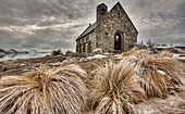 Church of the Good Shepherd, frosted tussock grass in winter, Lake Tekapo, Canterbury, New Zealand