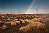 Rainbow over power plyons, Rangipo desert near Mt Ruapehu, Tongariro National Park.