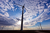 Wind Farm, Roscoe, Texas, USA