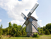 Preserved Windmill, Estonia