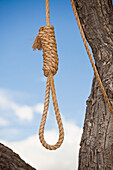 Hangman's Noose in a Tree, Entrada, Colorado, USA