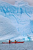 Kayakers beneath iceberg that has recently rolled over, Pleneau Island, Antarctic Peninsula.