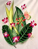 Tropical Flowers and Leaves on Sand