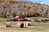 A barn at Riley´s Cove Ranch in rural Arkansas, USA