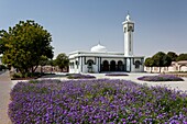 A small mosque in downtown Al Ain, UAE, Persian Gulf