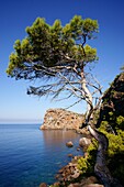 Sa Foradada Deia Mallorca Tramuntana Balearen Spanien