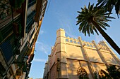 The Llotja, XV century Palma Mallorca Balearic Islands Spain