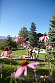 Kinder balancieren über einen Holzbalken vor Naturhotel Grafenast, Am Hochpillberg, Schwaz, Tirol, Österreich