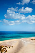 Düne, Risco del Paso, Playa de Sotavento, Fuerteventura, Kanarische Inseln, Spanien