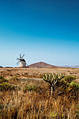 Windmühle, Molino de Tefia, Tefia, Fuerteventura, Kanarische Inseln, Spanien