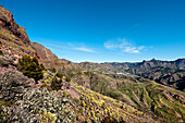 Mountain landscape, Artenara, Gran Canaria, Canary Islands, Spain