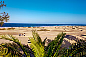 Sand dunes of Maspalomas, Gran Canaria, Canary Islands, Spain