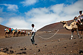 People riding camels in volcanic landscape, Timanfaya National Park, Lanzarote, Canary Islands, Spain, Europe