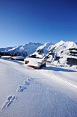 Footprint of a rabbit leading towards snow-covered alpine huts, Breiteck, Wildschoenau, Kitzbueheler range, Tyrol, Austria