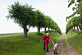 Mother and son, infant 1 year old, walking along an alley of trees, Feston-Alley, Bothmer Castle, largest Baroque Style castle in Mecklenburg, area Kluetzer Winkel, Baltic Sea, Kluetz, Mecklenburg-West Pomerania, Germany