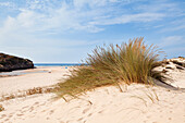 Dünen am Amoreira Strand, Atlantikküste, Algarve, Portugal, Europa
