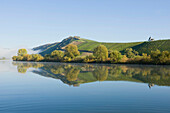 Mosel bei Trittenheim mit Morgennebel, Trittenheim, Rheinland-Pfalz, Deutschland, Europa