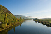 Mosel bei Klüsserath im Herbst, Klüsserath, Rheinland-Pfalz, Deutschland, Europa