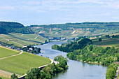 Moselle river between Nittel and Wincheringen, Wincheringen, Rhineland-Palatinate, Germany, Europe