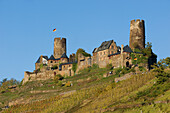 View of Thurant castle, Alken, Rhineland-Palatinate, Germany, Europe