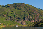 Tourist boat at Uerzig, Uerzig, Rhineland Palatinate, Germany