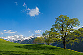 Spring at the Klausen pass, Unterschachen, Canton Uri, Switzerland