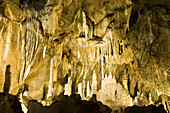 Baumannshöhle, Tropfsteinhöhle, Rübeland, Harz, Sachsen-Anhalt, Deutschland