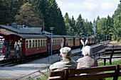Steam railway, Brockenbahn, HSB Harz narrow-gauge railways, railway station Schierke, Harz, Saxony-Anhalt, Germany